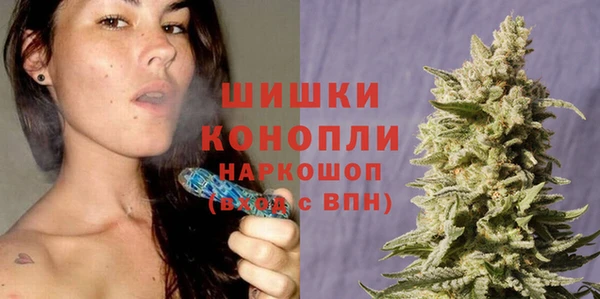 молекула духа Вязники
