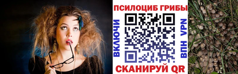 Псилоцибиновые грибы ЛСД  Снежинск 