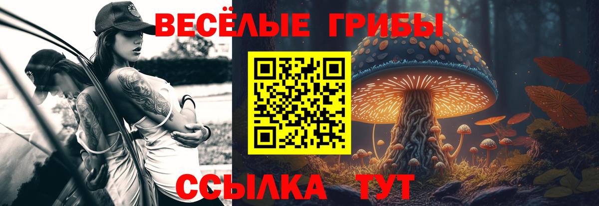 Снежинск  Галлюциногенные грибы GOLDEN TEACHER  Вход с VPN 